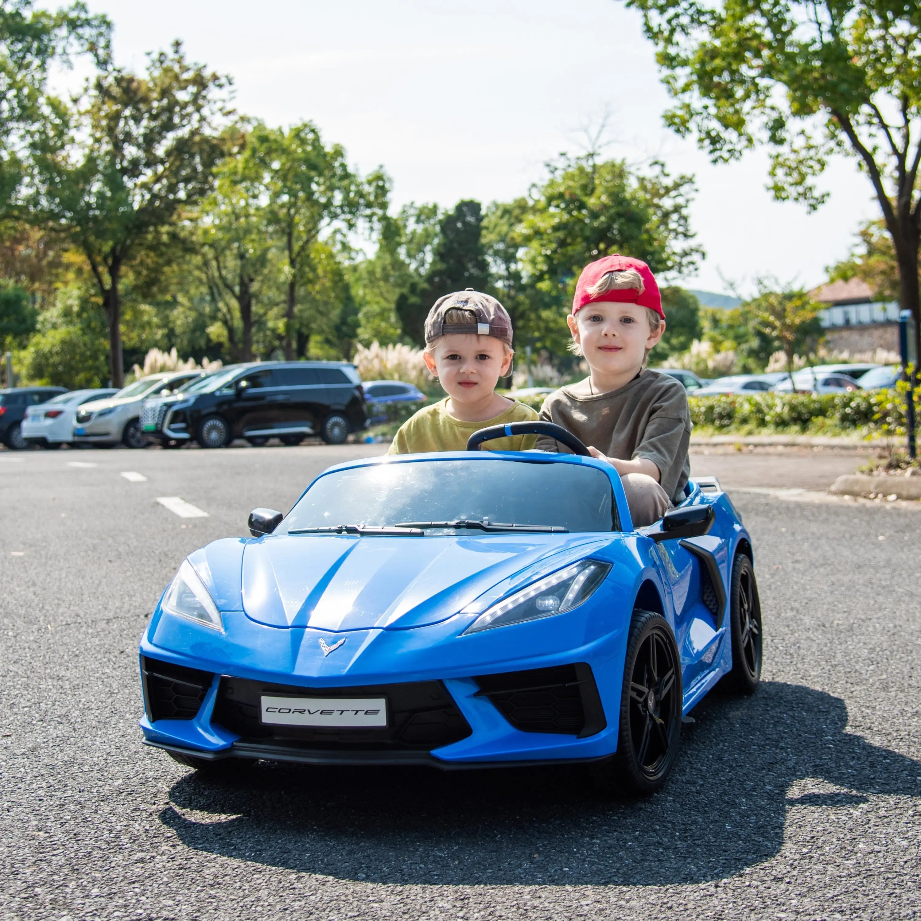 24V Chevrolet Corvette C8 2 Seater Ride on Car  DTI Direct Canada