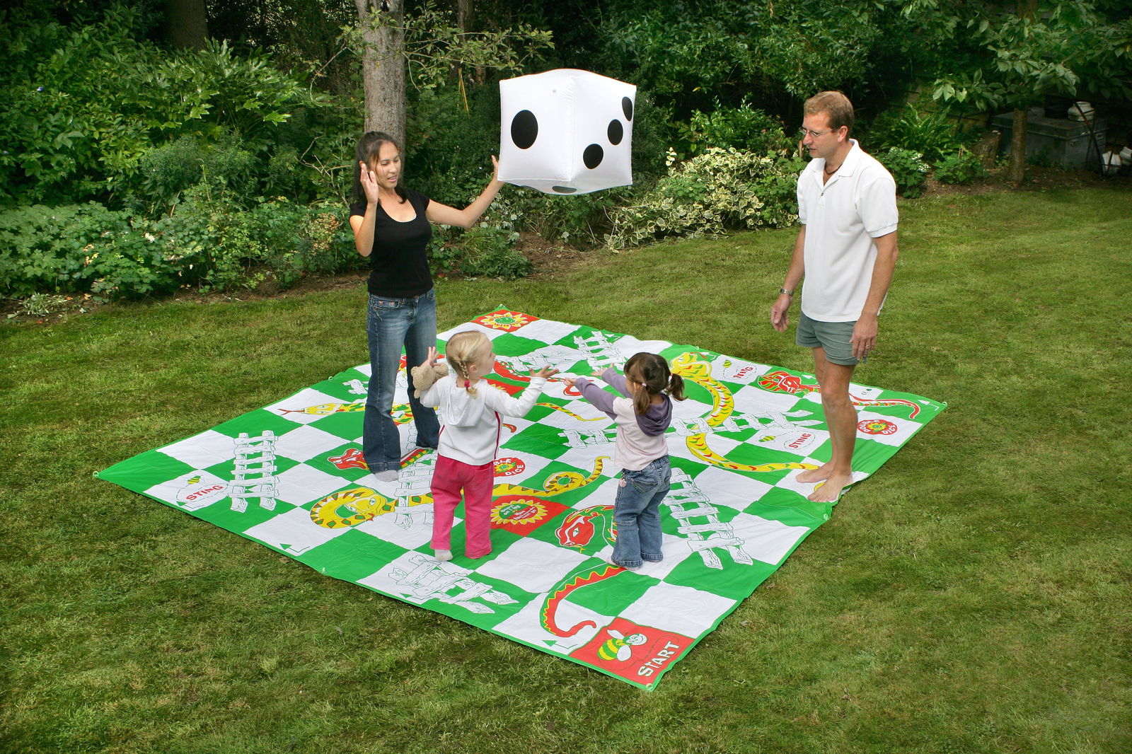 Giant Snakes & Ladders - DTI Direct Canada