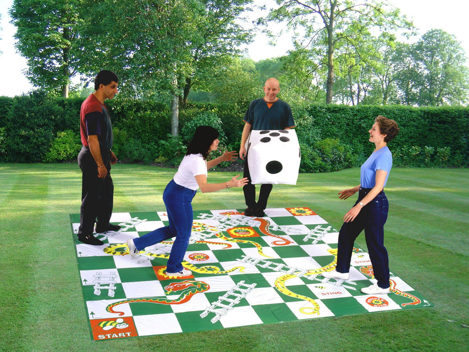 Giant Snakes & Ladders - DTI Direct Canada